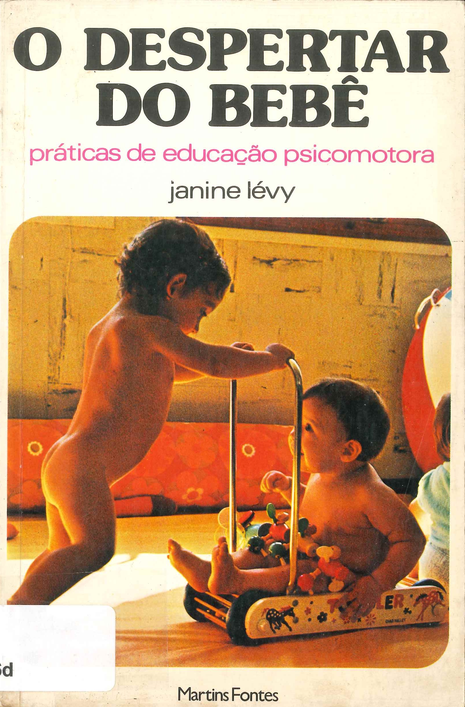 O despertar do bebê : práticas de educação psicomotora