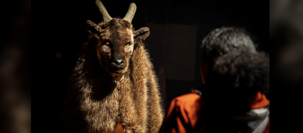 Teatro: A Mulher Que Virou Bode: A História Perdida de Jurema Finamour – Debate com Denise do Prado Bystronski